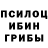 Галлюциногенные грибы Psilocybe Lennart Schoutsen