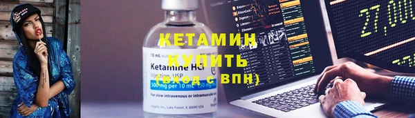 сатива Осинники
