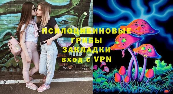 сатива Осинники