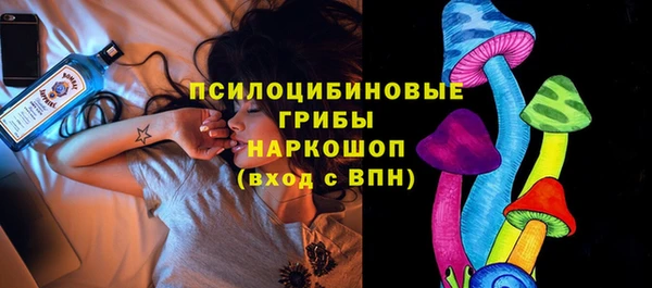 сатива Осинники