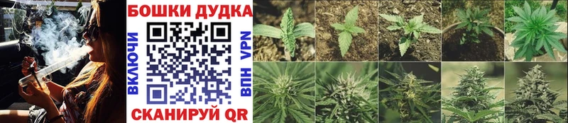 Купить закладки  Чайковский  Канабис марихуана 